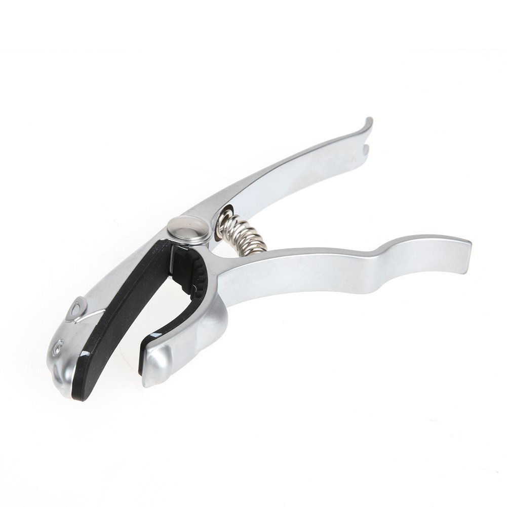 Professionele Metalen Gitaar C - Guitar Tuner Clip recensie en prijs